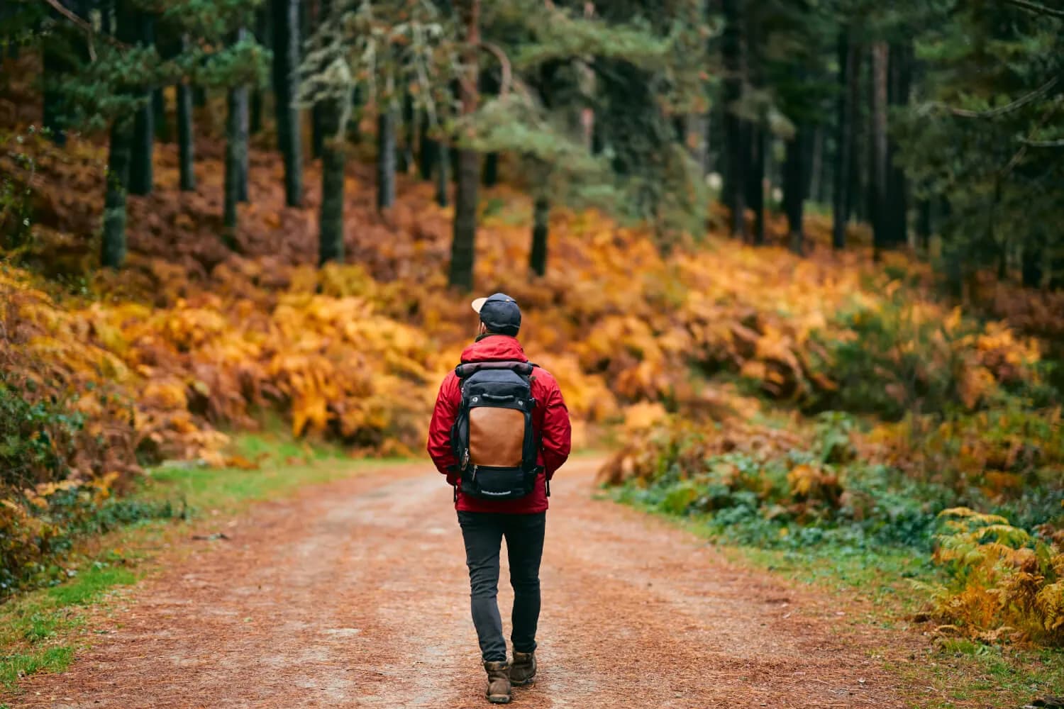 Man hiking