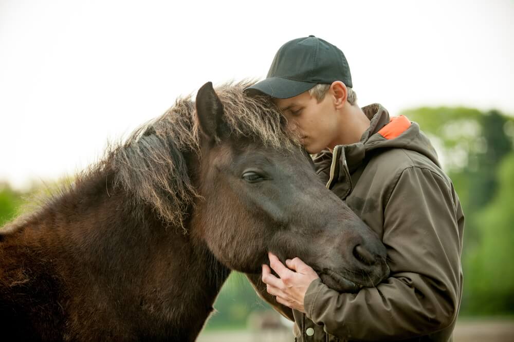 Harnessing the Power of Equine Therapy: A Path to Healing and Recovery